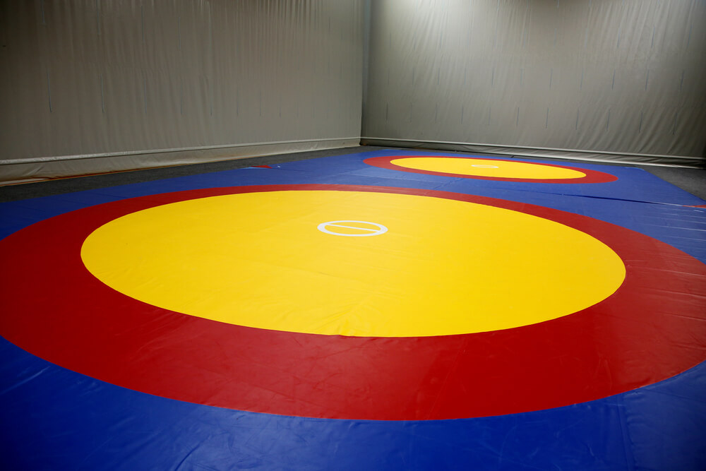 wrestling